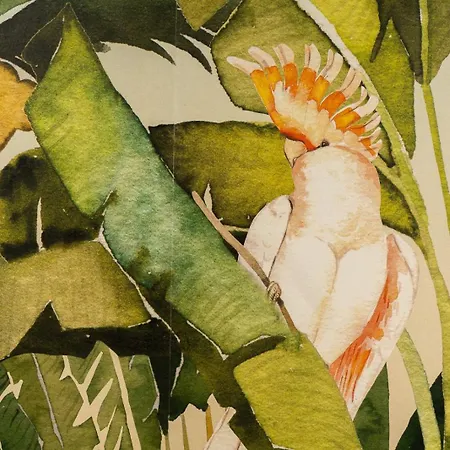 Safira 202 Funchal (Madeira)